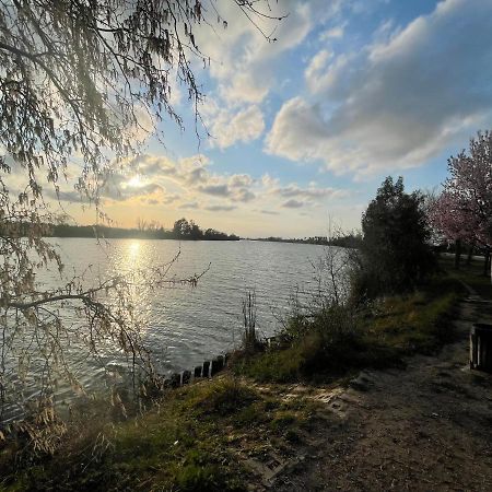 Lo Riu Daire Deltebre Dış mekan fotoğraf